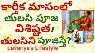 Tulasi Pooja Vidhanam At Home In Telugu/లక్ష్మీ తులసి పూజ విధానం/Nitya Pooja Vidhanam in Telugu#puja