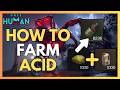 The BEST Acid Farm Methods in Once Human (Early to Endgame)