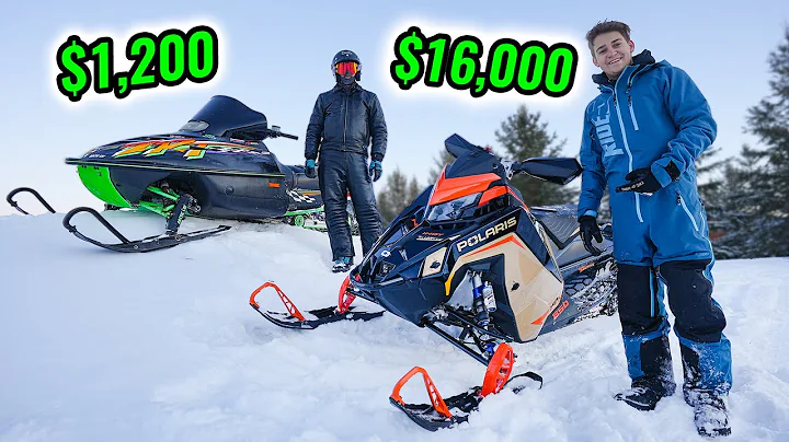 Cheap vs. Expensive Snowmobiles Ditch Riding!!