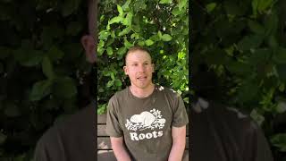 Kibbutz Ulpan Etzion-Tzuba testimonial in English