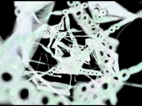 KASHIKOKIMONO — Trailer principal