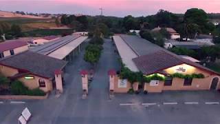 Angaston Vineyards Motel