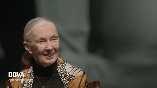 Mi mensaje a las niñas que quieren ser científicas. Jane Goodall, primatóloga screenshot 1