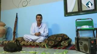 سواليف في رمضان    الحلقة التاسعه   شعب رومانسي   احمد حسن الزعبي