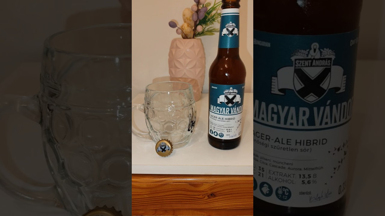 Hungarian craft beer