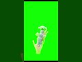 The games called ferretdance  #roblox #fyp