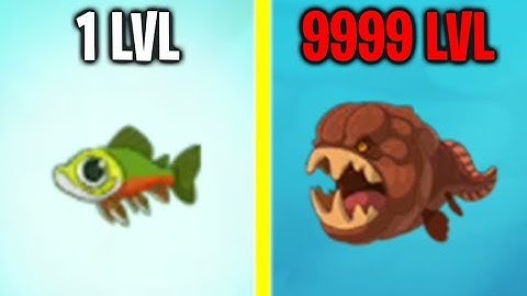MAX LEVEL MONSTER FISH EVOLUTION! Max Level Speed & Power Epic Fish Evolution! (9999+ Level Fish!)