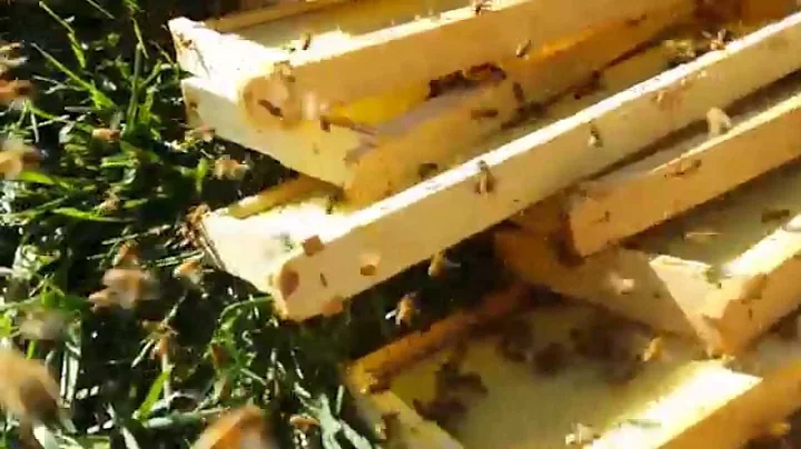 Help! I'm being robbed!