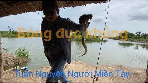 Câu cá bóng đục khủng ngày chủ Nhật, và những món đặc sản cần giờ...