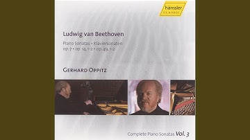 III. Rondo: Allegro comodo