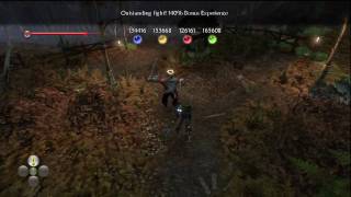 Fable 2 Quality Test