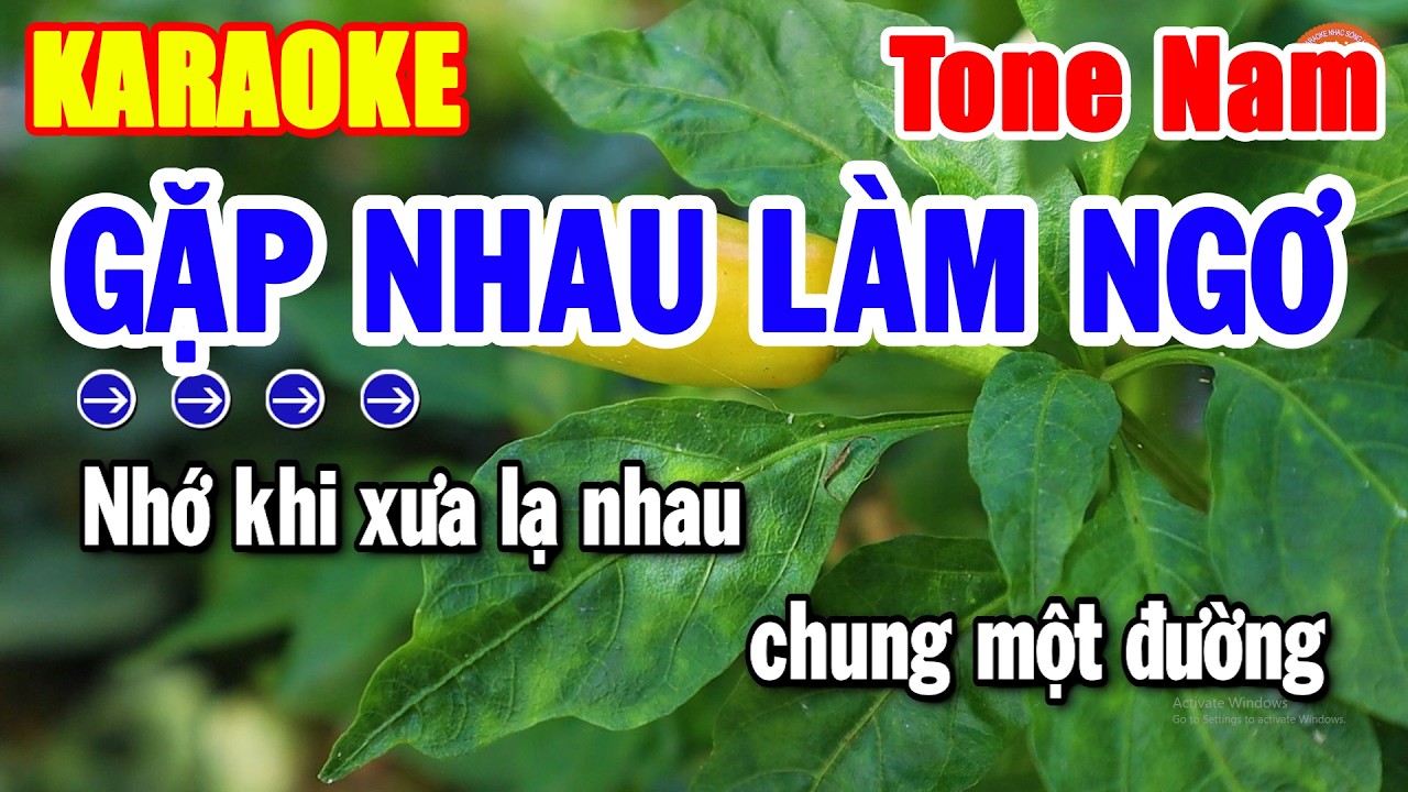 Karaoke Gặp Nhau Làm Ngơ Tone Nam Nhạc Sống Cha Cha Dễ Hát Nhất | Hải Tiên