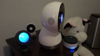 Jibo, Alexa and Google Home Robot Talk