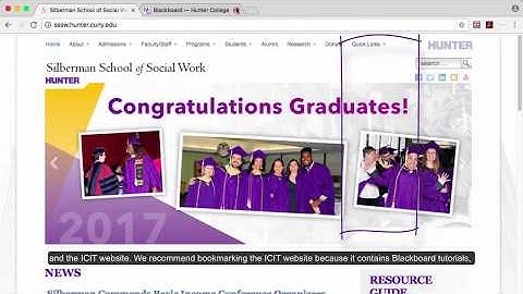 Faculty Blackboard Tutorial: The Basics