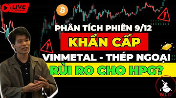 VINMetal và Thép ngoại nhập đâu là rủi ro cho Hòa Phát HPG? Vnindex bắt đầu gặp khó