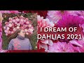 I Dream of Dahlias 2021: I'm NOT Giving Up!