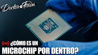 TE EXPLICO qué es UN MICROCHIP