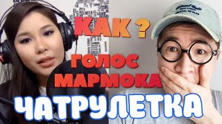 Девушка говорит как МАРМОК ЧАТРУЛЕТКА @MrMarmok