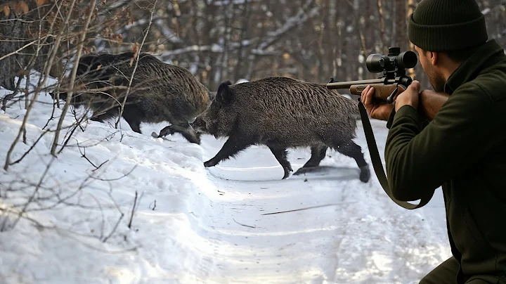 40 Wild Boars Down in 4 Minutes | Texas Hog Hunting Ep 38