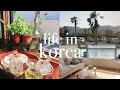 days in my life in korea | staying productive + what i eat