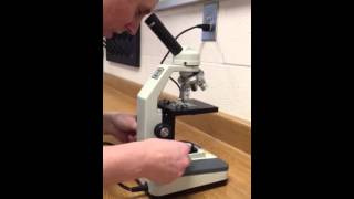 How to Use a Microscope Properly