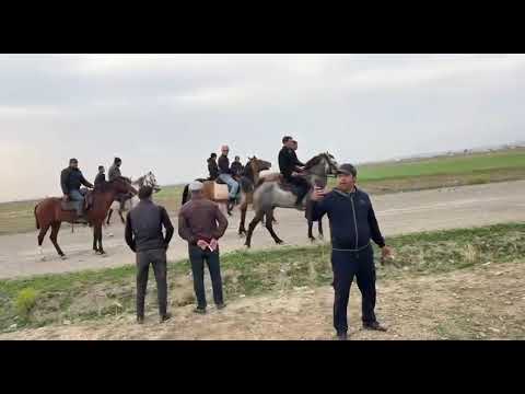 Yorağa Atlar Azərbaycan birinciliyi 1600 m. 🥇Şimşək. 🥈SarıAt. 🥉Peqas