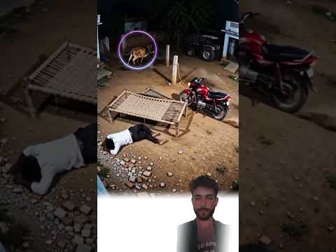 ي ظهر المشهد كيف يعتمد المخلوق أحيانا على قوته بع لايك