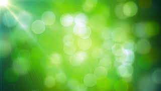 Green Bokeh Lights Free Backgrounds, Motion Graphics, No Copyright All Backgrounds