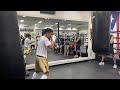 PACQUIAO training at Wild Card Gym In LOS ANGELES!