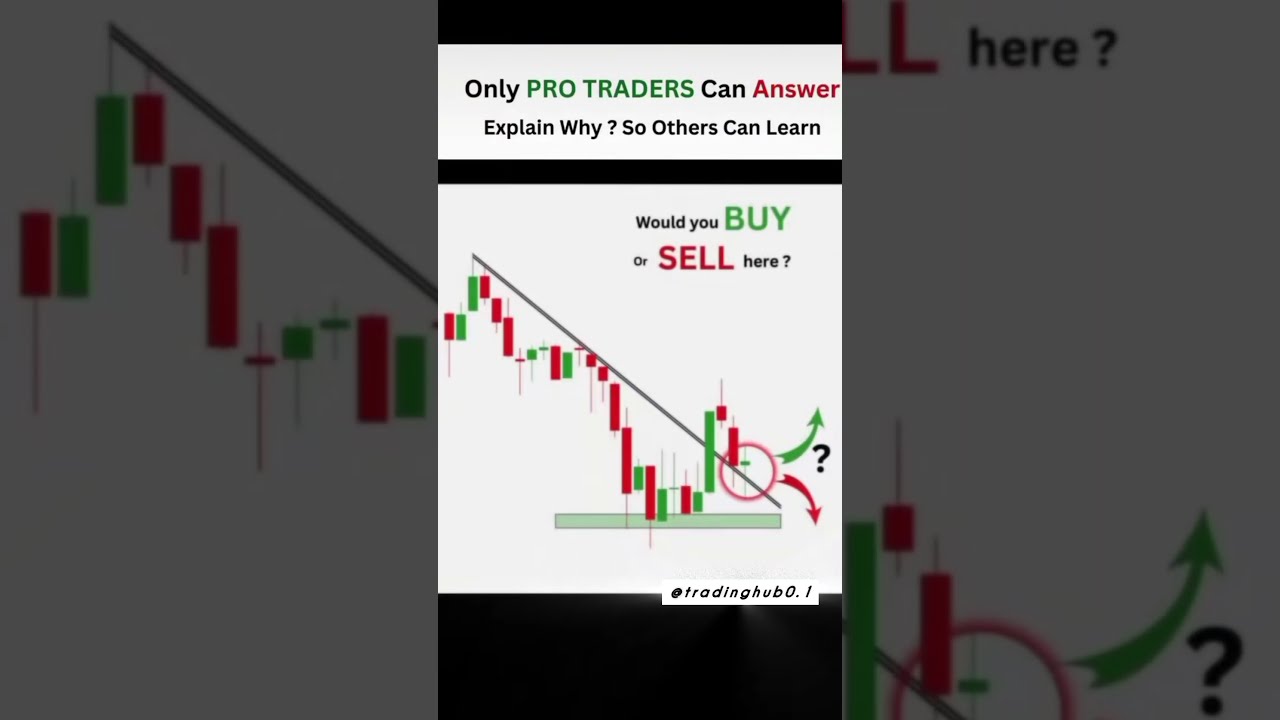 Pro Traders Can Answer Stockmarket Trading Trader