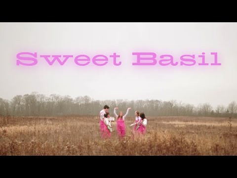 Video: Sweet Basil