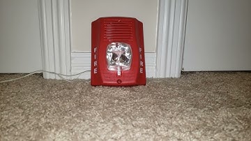 System Sensor Spectralert Advance P2RH-LF Low frequency sounder strobe