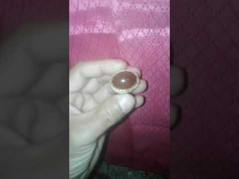 Khasiat batu cempaka Batu cempaka madu, cempaka sulaiman, cempaka raflesia, cempaka putih, cempaka k. 