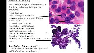 Thyroid Cytology: Kurt's Notes #pathagonia