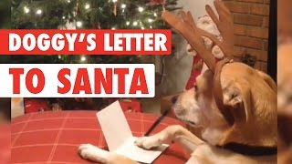 Doggy's Letter to Santa