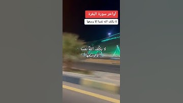 لا يكلف الله نفسا إلا وسعها ❤️أواخر سورة البقرة 🌴حالات واتس اب دينية