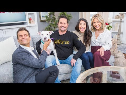 Larissa and Paw Works founder Chad Atkins Preview Tails of Joy - Home & Family