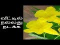 வீட்டில் நல்லது நடக்க-Siththarkal Manthiram- Sithar- sithargal-siddhar-s...