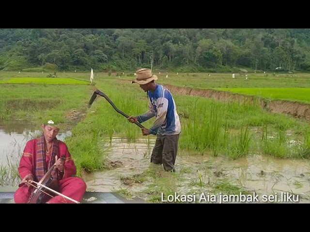 Paruntuangan dibawakan oleh Iwil Melayu class=