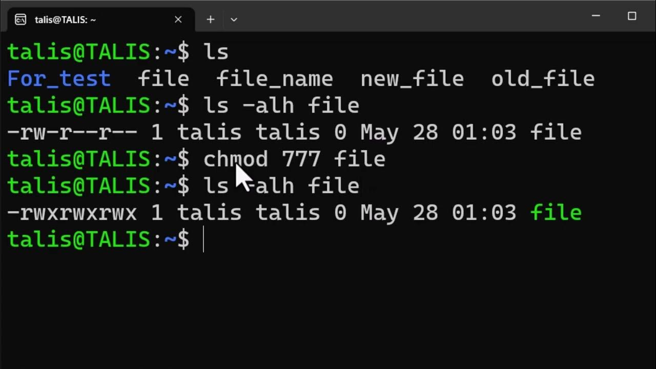 shell permissions YouTube