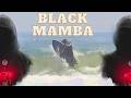 BLACK MAMBA Performance FISH 5'5