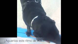 Realizado con iMovie de Apple. Visionado en 720p