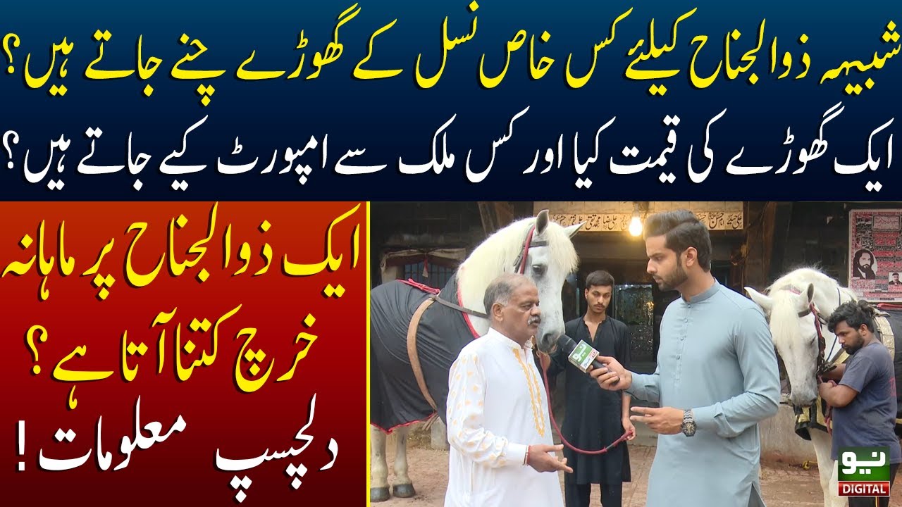 Shabhi e Zuljinah Konsi Khas Nasal Kay Ghore Hotay Hain? | 30 July 2022 | Neo News