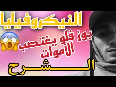 شرح وتفسير كلمات بوز فلو في  كلاش لن يفهمه  مع    