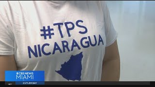 Calls in South Florida grow for TPS status for Nicaraguans