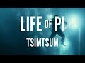 Capture de la vidéo Life Of Pi - Mychael Danna - Tsimtsum