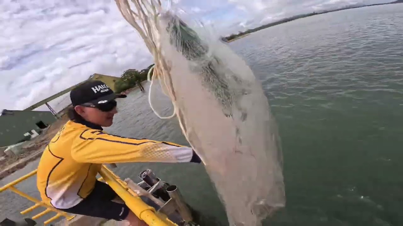 Lucinda Jetty. Some unstoppable beasts up there.