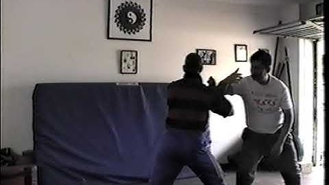 Taijiquan Dynamic Pushing Hands - Vincent Chu & David Nicholson