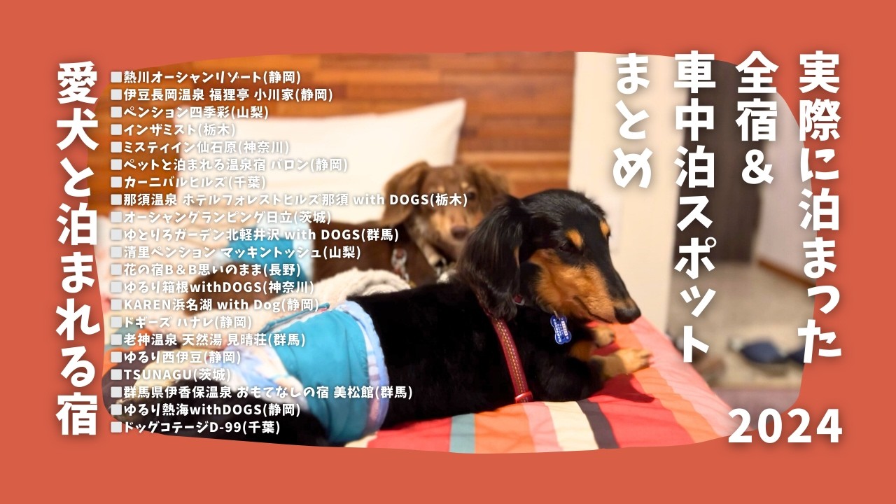 【愛犬と泊まれる宿】2024年実際に泊まった20宿+1ゆる総集編【お安い宿メイン】