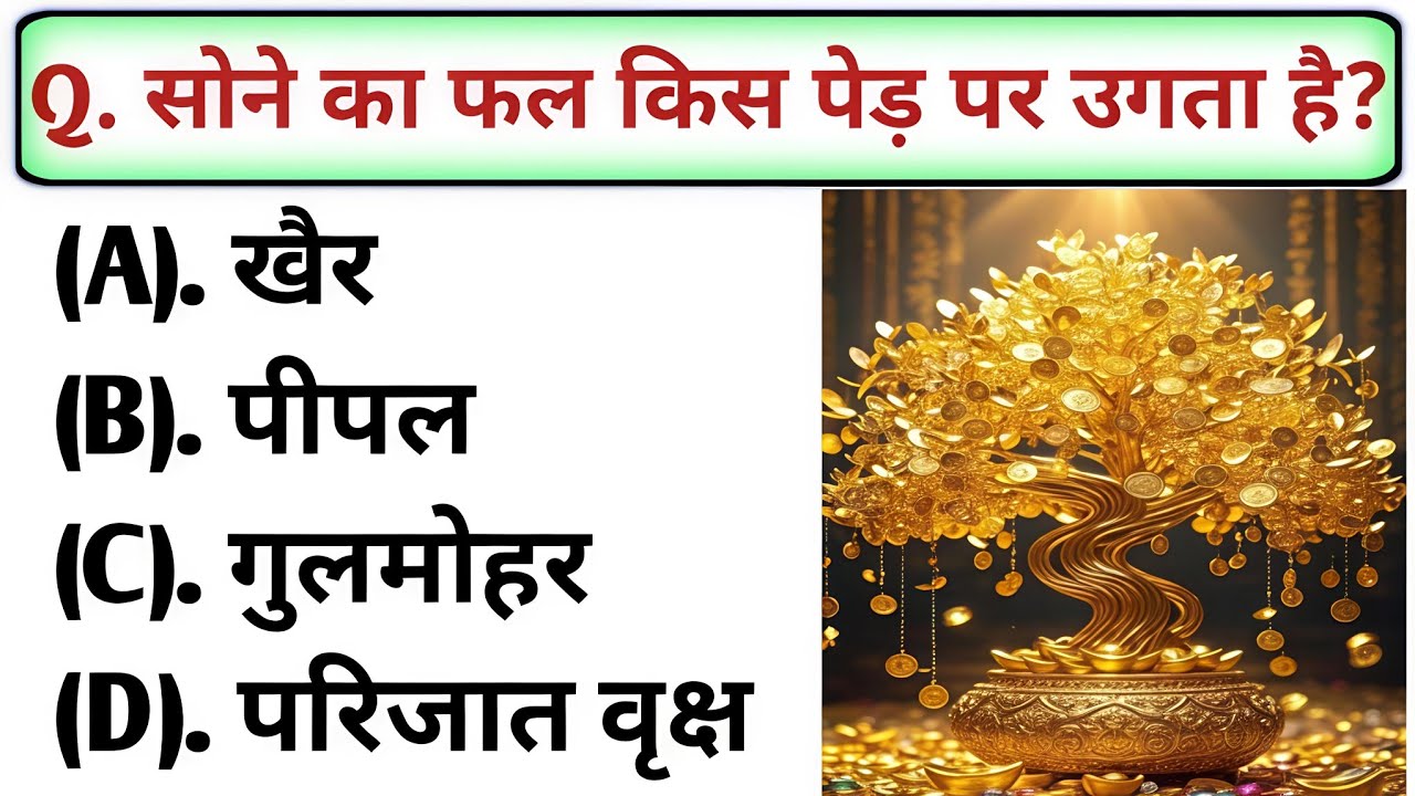 GK । Gk Question । Gk In Hindi । Gk Question Answer । GK Quiz । General knowledge । Gk Online Class।